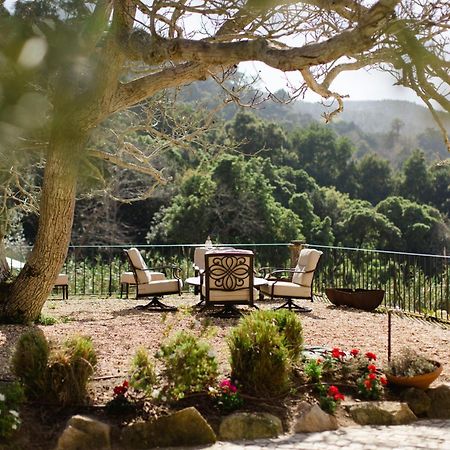 Quinta Da Bella Vista - Historic Home And Farm Sintra Kültér fotó