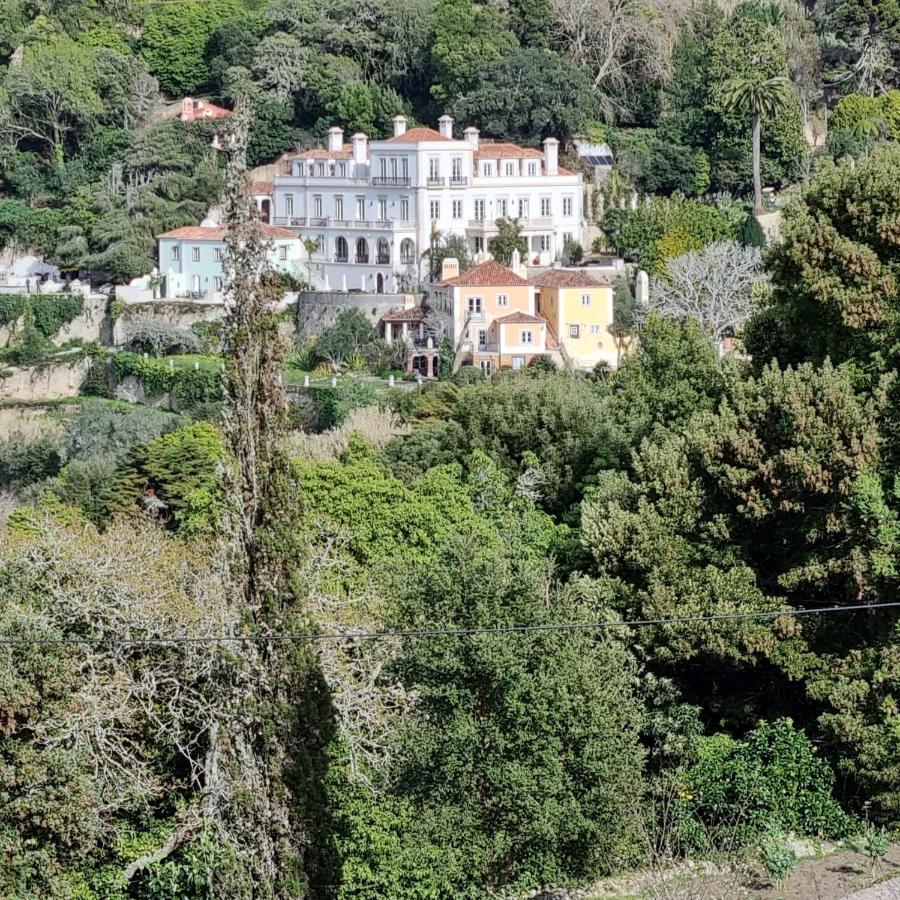 Quinta Da Bella Vista - Historic Home And Farm Sintra Kültér fotó